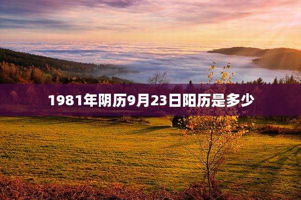 1981年阴历9月23日阳历是多少