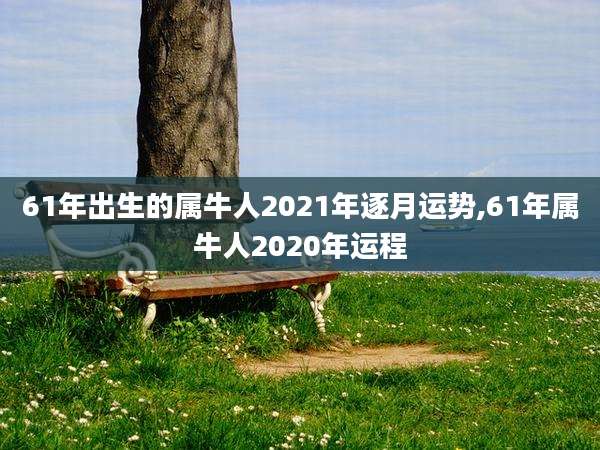 61年出生的属牛人2021年逐月运势,61年属牛人2020年运程
