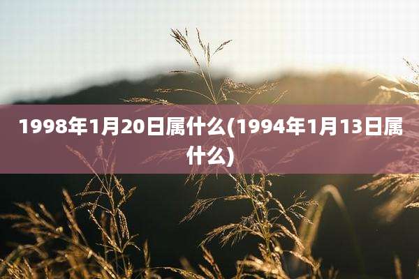 1998年1月20日属什么(1994年1月13日属什么)
