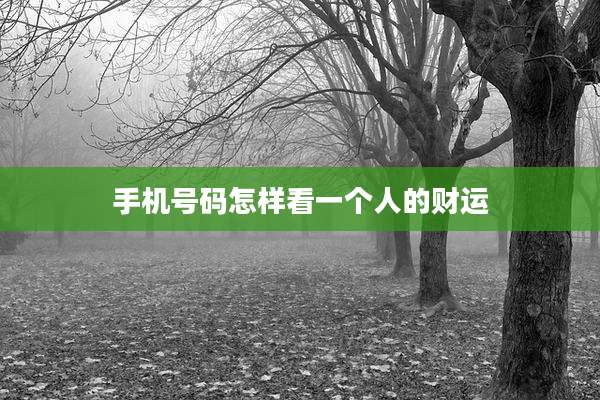 手机号码怎样看一个人的财运
