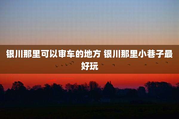 银川那里可以审车的地方 银川那里小巷子最好玩