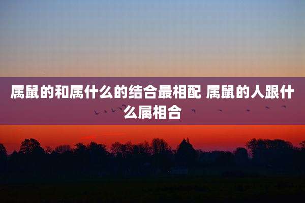 属鼠的和属什么的结合最相配 属鼠的人跟什么属相合