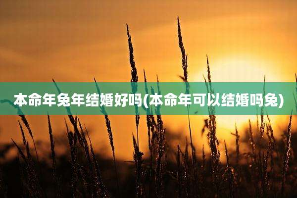 本命年兔年结婚好吗(本命年可以结婚吗兔)