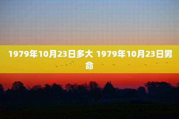 1979年10月23日多大 1979年10月23日男命
