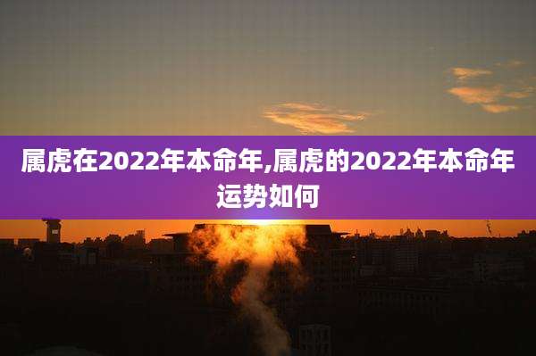 属虎在2022年本命年,属虎的2022年本命年运势如何