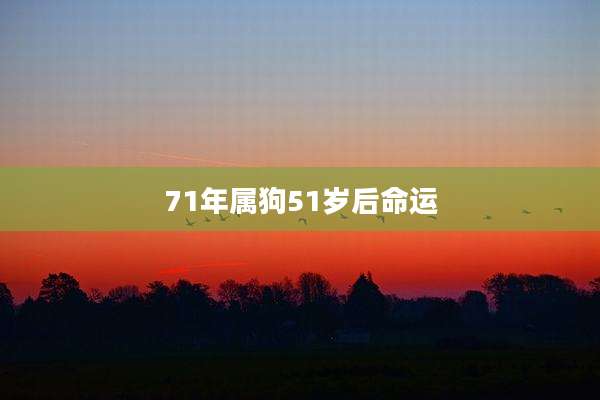 71年属狗51岁后命运