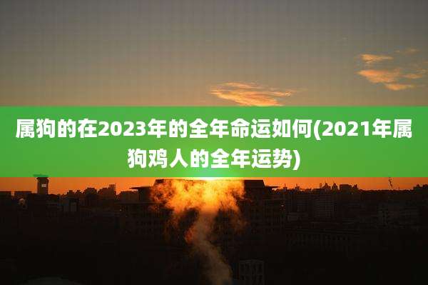 属狗的在2023年的全年命运如何(2021年属狗鸡人的全年运势)