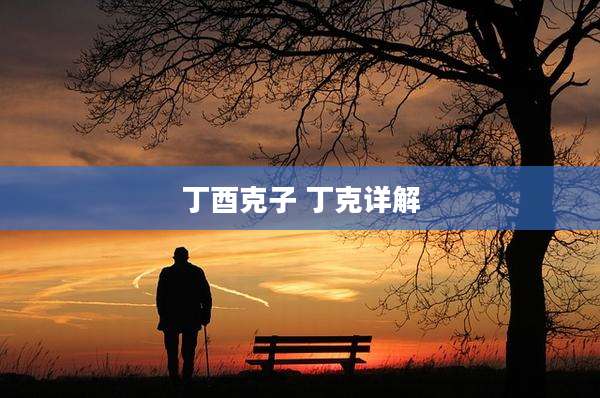 丁酉克子 丁克详解