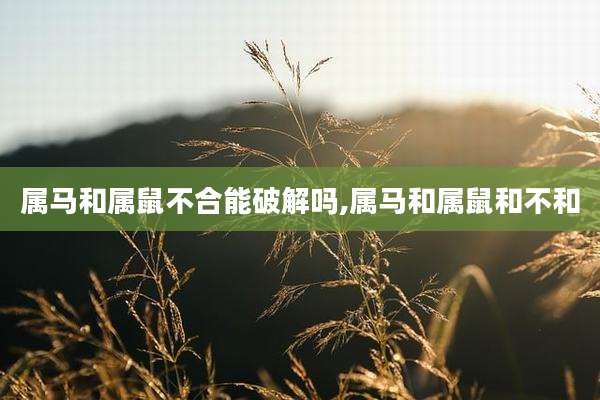 属马和属鼠不合能破解吗,属马和属鼠和不和