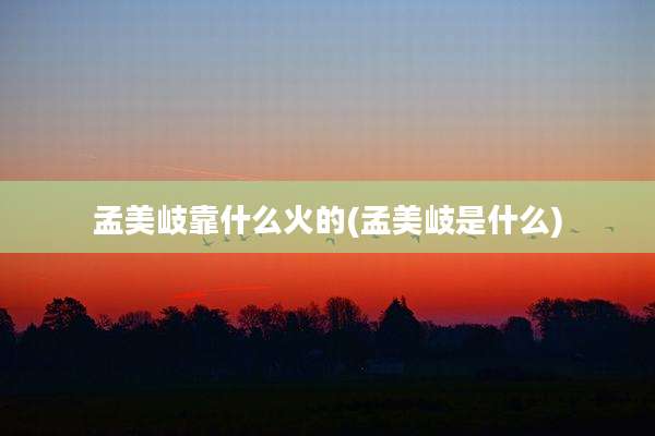 孟美岐靠什么火的(孟美岐是什么)