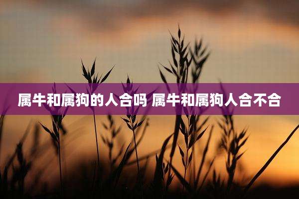 属牛和属狗的人合吗 属牛和属狗人合不合