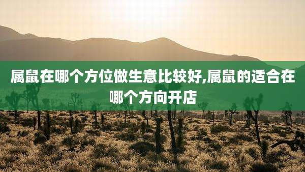 属鼠在哪个方位做生意比较好,属鼠的适合在哪个方向开店