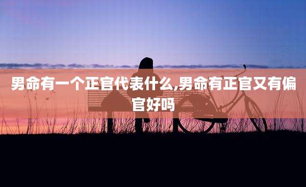 男命有一个正官代表什么,男命有正官又有偏官好吗