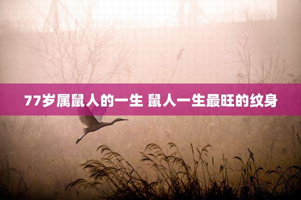77岁属鼠人的一生 鼠人一生最旺的纹身