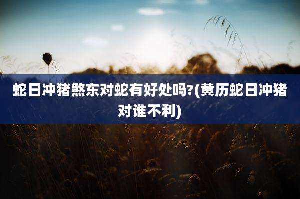 蛇日冲猪煞东对蛇有好处吗?(黄历蛇日冲猪对谁不利)