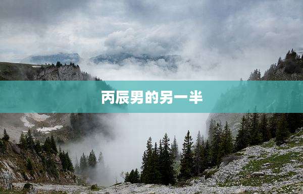 丙辰男的另一半