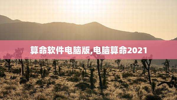 算命软件电脑版,电脑算命2021