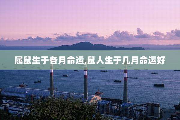 属鼠生于各月命运,鼠人生于几月命运好