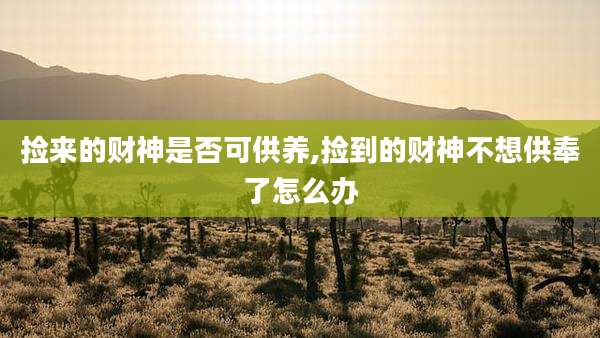 捡来的财神是否可供养,捡到的财神不想供奉了怎么办