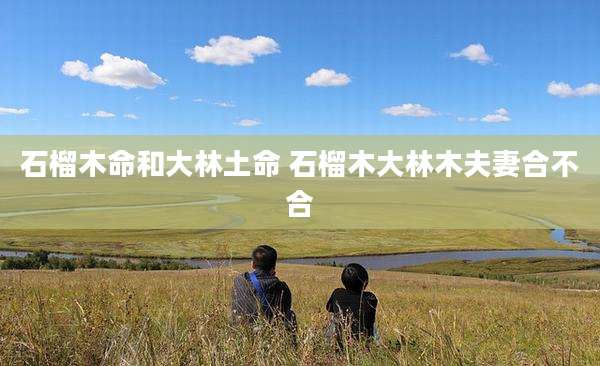 石榴木命和大林土命 石榴木大林木夫妻合不合