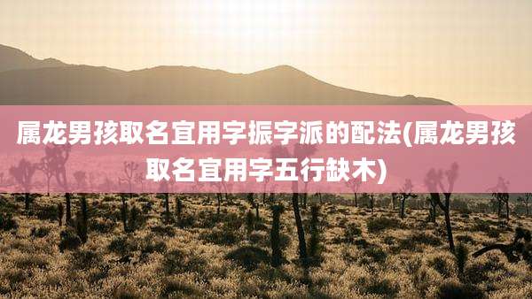 属龙男孩取名宜用字振字派的配法(属龙男孩取名宜用字五行缺木)