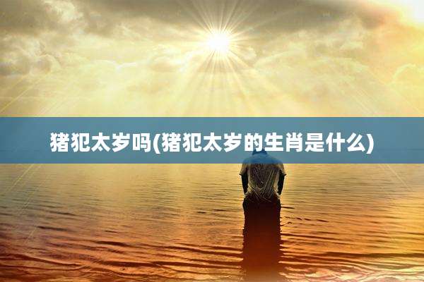 猪犯太岁吗(猪犯太岁的生肖是什么)