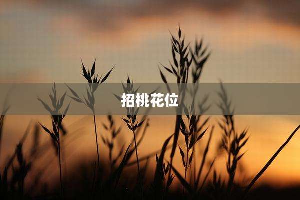 招桃花位