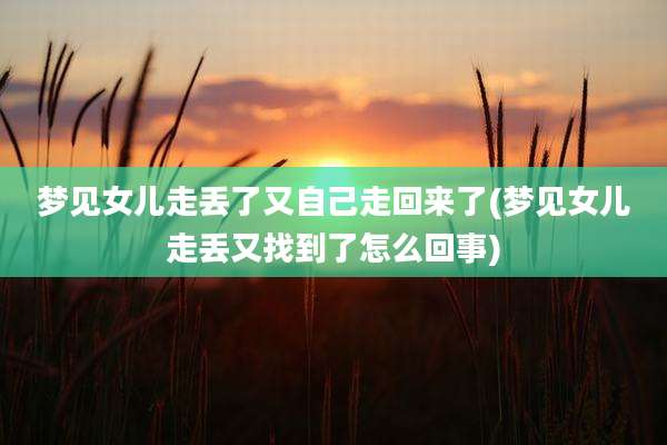梦见女儿走丢了又自己走回来了(梦见女儿走丢又找到了怎么回事)