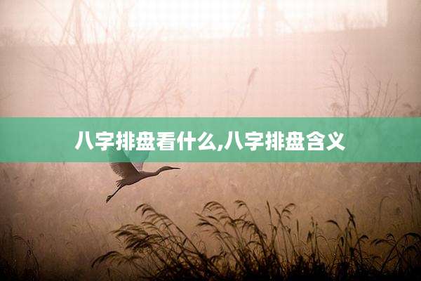 八字排盘看什么,八字排盘含义