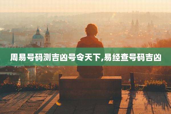 周易号码测吉凶号令天下,易经查号码吉凶