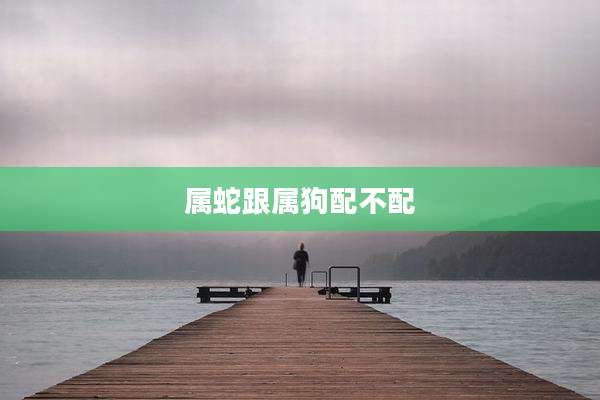 属蛇跟属狗配不配