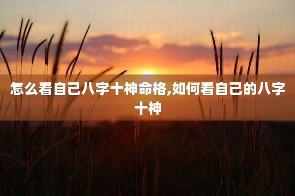 怎么看自己八字十神命格,如何看自己的八字十神