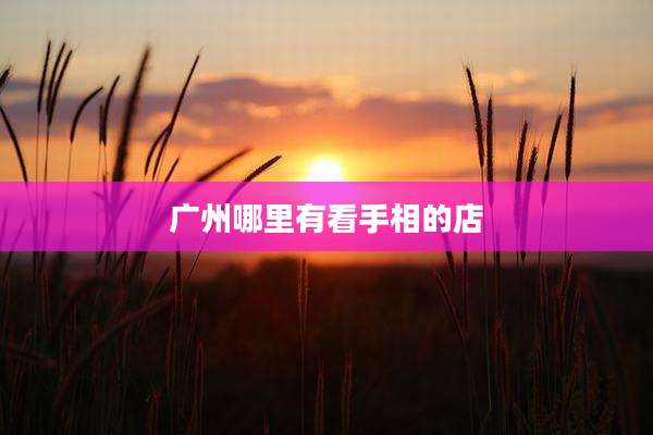 广州哪里有看手相的店