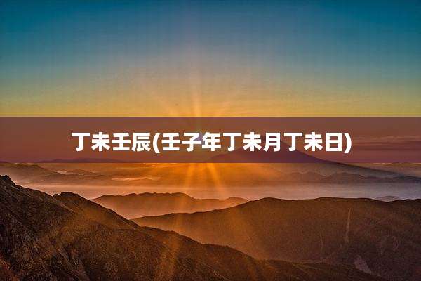 丁未壬辰(壬子年丁未月丁未日)
