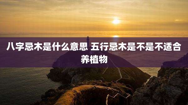 八字忌木是什么意思 五行忌木是不是不适合养植物