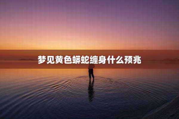 梦见黄色蟒蛇缠身什么预兆