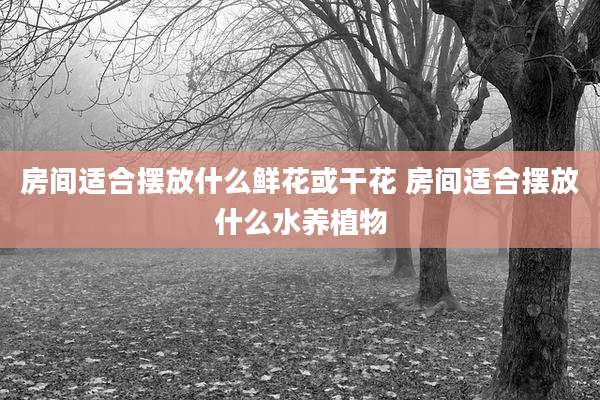 房间适合摆放什么鲜花或干花 房间适合摆放什么水养植物