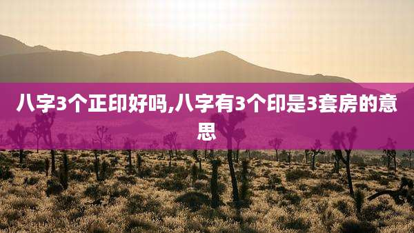 八字3个正印好吗,八字有3个印是3套房的意思
