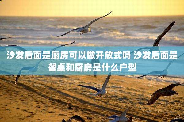 沙发后面是厨房可以做开放式吗 沙发后面是餐桌和厨房是什么户型