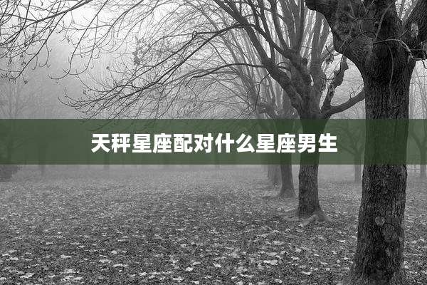 天秤星座配对什么星座男生