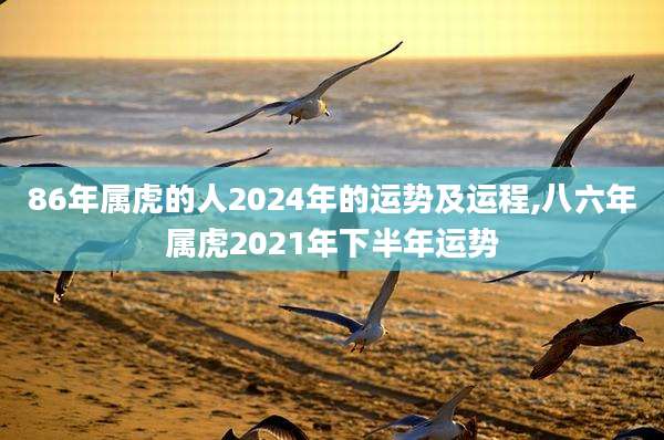 86年属虎的人2024年的运势及运程,八六年属虎2021年下半年运势