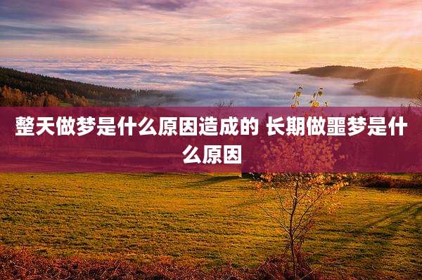 整天做梦是什么原因造成的 长期做噩梦是什么原因