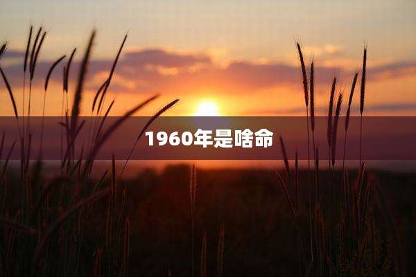1960年是啥命