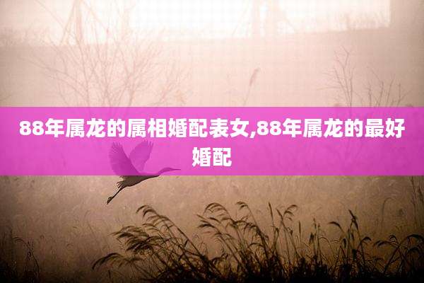88年属龙的属相婚配表女,88年属龙的最好婚配