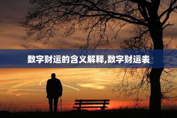 数字财运的含义解释,数字财运表
