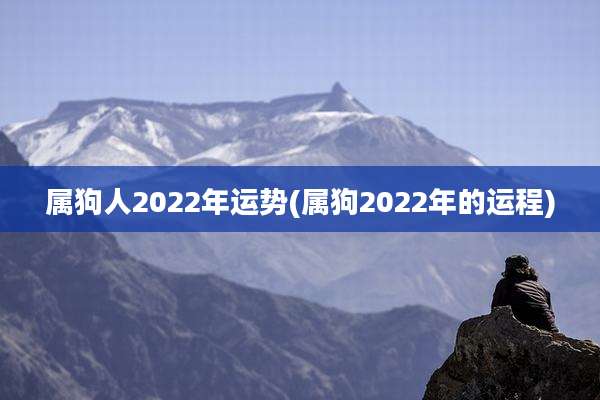 属狗人2022年运势(属狗2022年的运程)