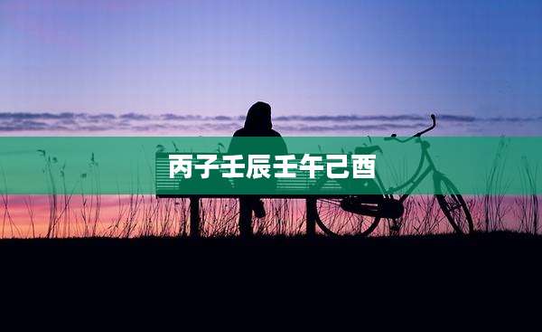 丙子壬辰壬午己酉