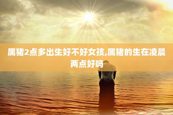 属猪2点多出生好不好女孩,属猪的生在凌晨两点好吗