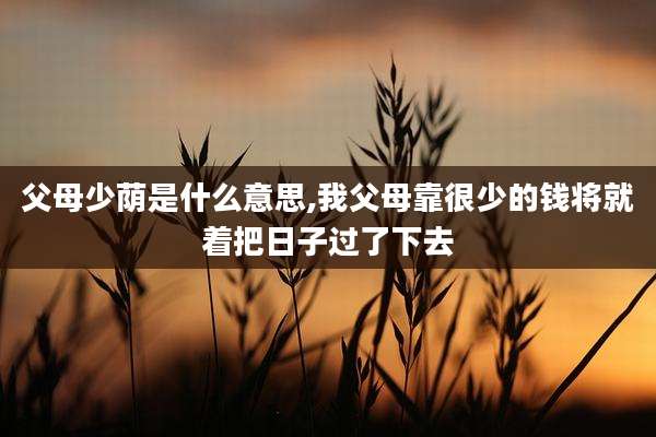 父母少荫是什么意思,我父母靠很少的钱将就着把日子过了下去