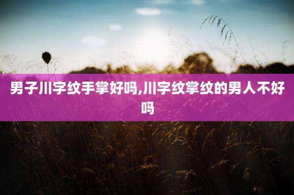 男子川字纹手掌好吗,川字纹掌纹的男人不好吗